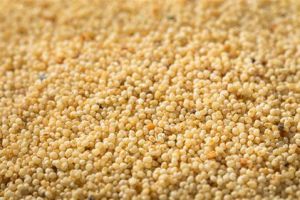 Poppy Seeds, Color : Dark Gray To Black