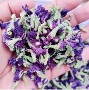 Butterfly Pea Flower