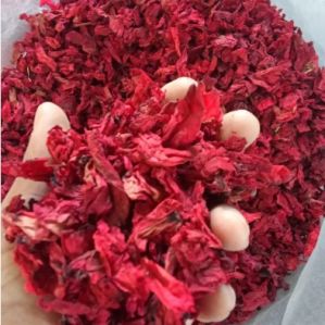 Dried Himalayan Rhododendron Flower