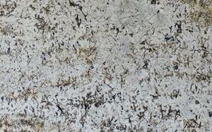 Alaska White Gold Granite
