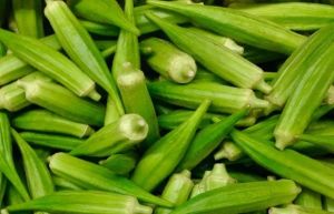 Fresh Okra