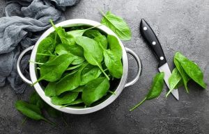 Fresh Spinach