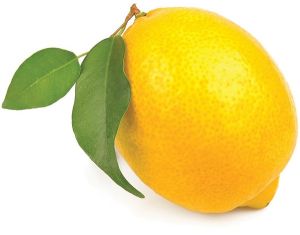 Fresh Lemon, Color : Yellow, Packaging Type : Pack