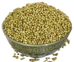 coriander seeds