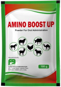 Amino Boost up Powder