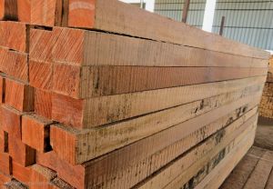 Rectangular Sal Wood Plank