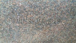 Bush Hammered Doted SK Blue Granite Slabs, Size : 120X240cm