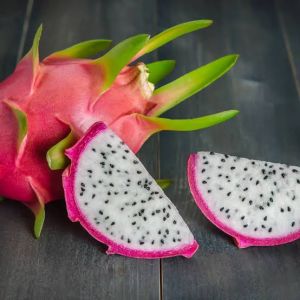 White Dragon Fruit Plants