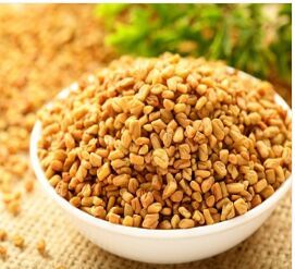 Fenugreek Seed