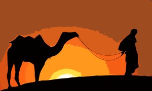 Camel Sunset Digital Abstract Painting
