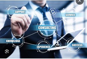 Business Consulting Services
