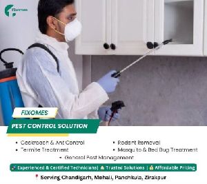 Pest Control Service