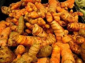 Raw Turmeric Finger
