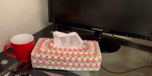 Crochet Tissue Holder Crochet Tissue Holder