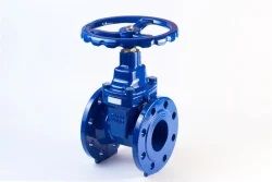Bhel Globe Valve