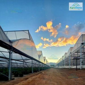 Polyethylene Fan and Pad Polyhouse, Packaging Type : White