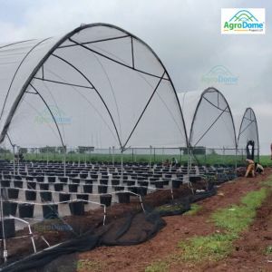 High Tunnel Polyhouse