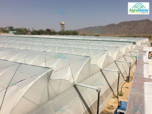 Hybrid Structure Green House