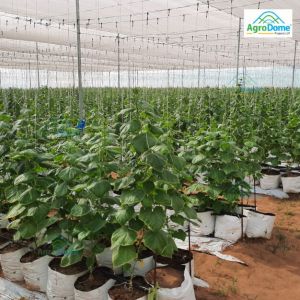 Prefab Wire Rope Net House