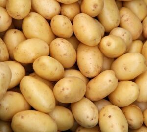 Potato, Color : Brown, Packaging Type : Loose/bulk