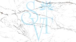 Polished Imported Statuario Granite Slab, Color : White Standard