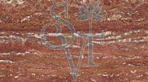 Polished Imported Travertino Rosso Granite Slab, Color : Brown