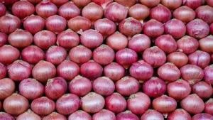 onions