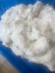 Cotton Fiber