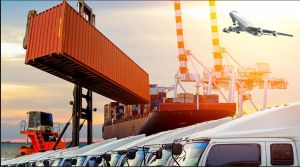 Trade Consultation & Licensing Services