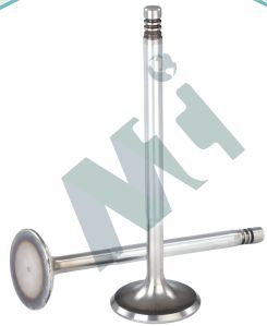 Diesel Engine Valves