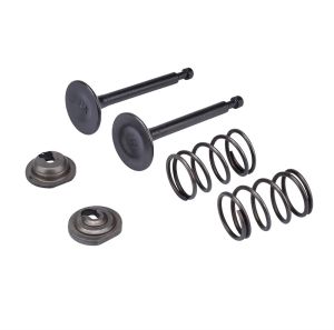 Engine Valve Springs