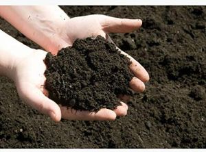 Cow Dung Manure Fertilizer