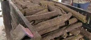 Cow Dung Wood LOG, Packaging Size : 5-25kg