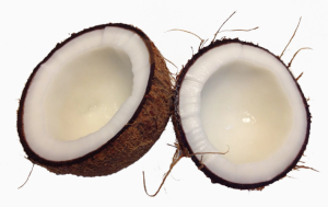coconut shell