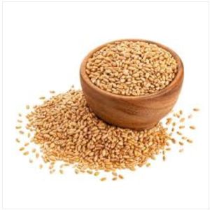 Organic Wheat, Color : Brown-Yellow