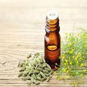 Fennel Oleoresin