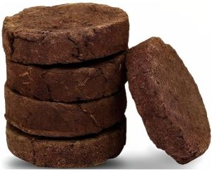 cow dung cakes