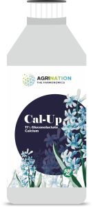 11% Gluconolactate Calcium