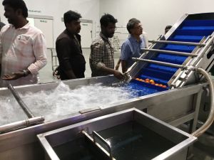 Suya Electric Stainless Steel Vegetable Washer