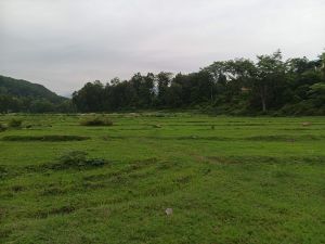 House Selling Services