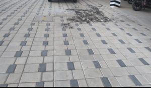 Brick Paving Zigzag Pavers