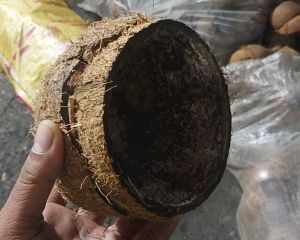 coconut shell