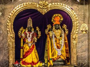 Client Relationship Services