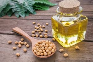 Refined Soyabean Oil