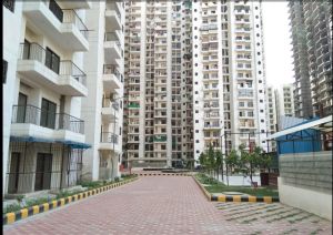 Residential Property Sales Service