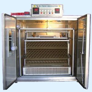 500 Eggs Capacity Incubator
