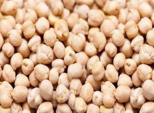 Chickpeas White, Packaging Type : Typically Sold In Bags Or Bulk