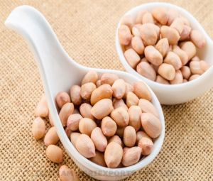 Raw Peanuts, Packaging Type : 10 Kg, 15 Kg, 25 Kg, 50 Lbs