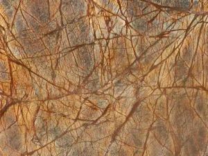 Polished Natural Stone Rainforest Brown Marble Standard
