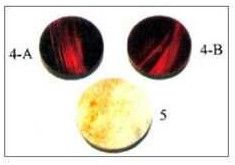 Buffalo Horn Strikers